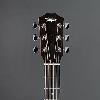 Amazon.com: Sapele GS Mini by Taylor : Musical Instruments